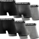 Schachtel mit 6 Premium Boxer Quinn 447 C - LION